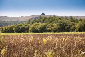 Side View- click for photo gallery